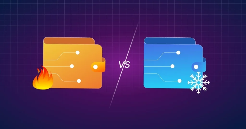 Wallets vs. Cold Wallets